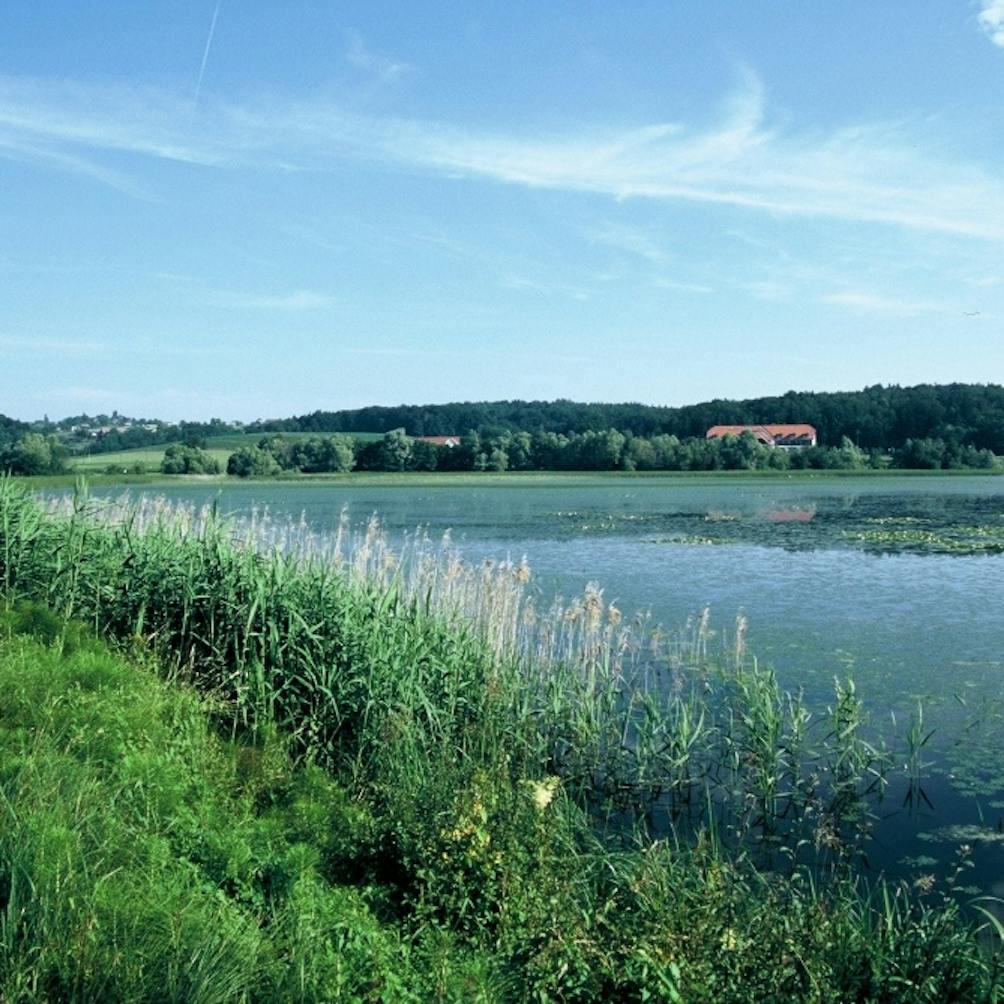 Jezero Komarnik